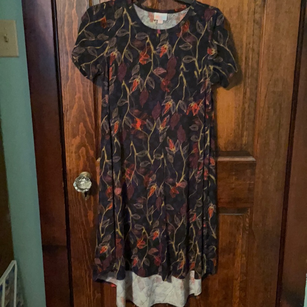 Lularoe Carly Dress